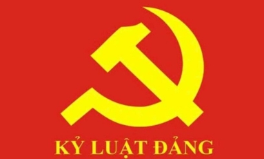  Ban Bí thư xem xét, thi hành kỷ luật đảng viên vi phạm